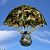 military war