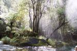 tarawera falls sml.jpg