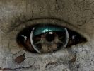 eyes1.jpg